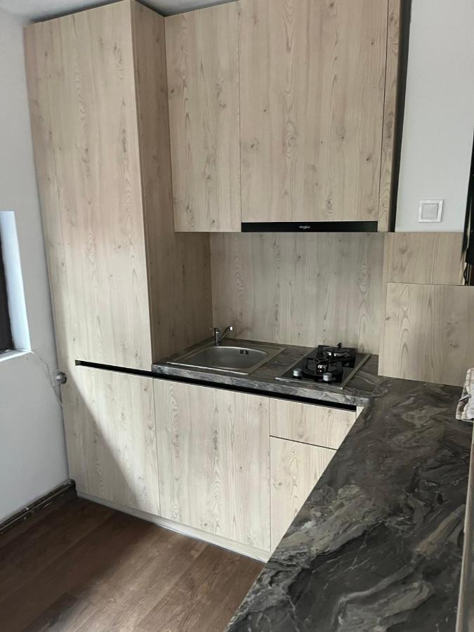 布拉索夫Casa Familiei别墅 外观 照片
