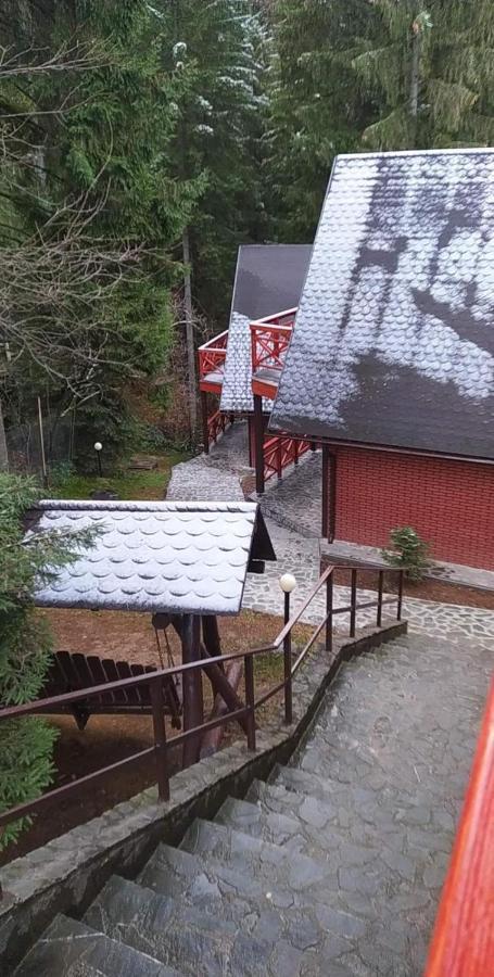 布拉索夫Casa Familiei别墅 外观 照片
